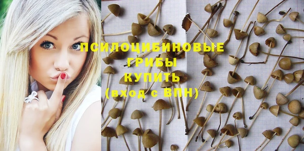 Альфа ПВП Арсеньев