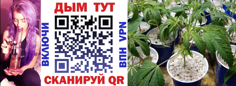 darknet Telegram  магазин    Щёкино  Шишки марихуана LSD WEED 